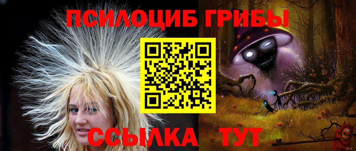 Галлюциногенные грибы Psilocybine cubensis  Вход с VPN  Галлюциногенные грибы Cubensis  Южноуральск 